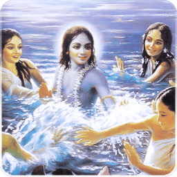 Krishna Holi Live Wallpaper आइकन