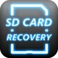 SD Card Recovery File