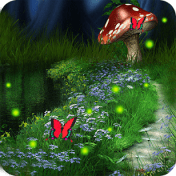 Đom đóm Live Wallpaper icon