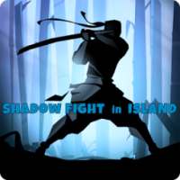 Shadow Fight in Island