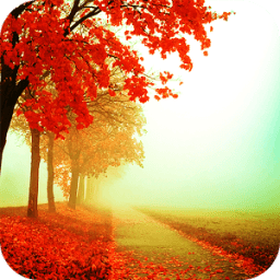 Hình nền mùa thu icon