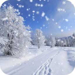 Winter Snow Live Wallpaper icon