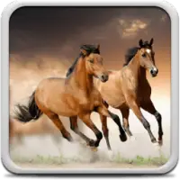 Descarga de la aplicación Caballos Fondos Animados 2023 - Gratis - 9Apps
