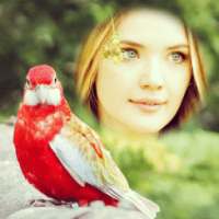 Parrot Photo Frames Editor on 9Apps