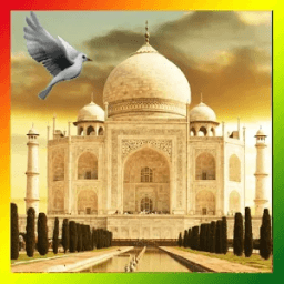 Taj Mahal Birds Live Wallpaper आइकन