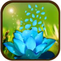 3D Flower Petal Wallpaper