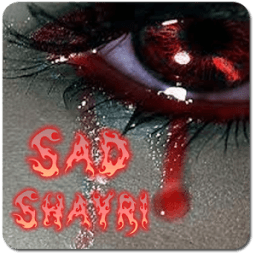 Sad Shayri - Dard Shayri icon