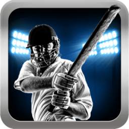 Hitwicket Cricket Manager Game