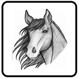 Draw Horse Step By Step أيقونة