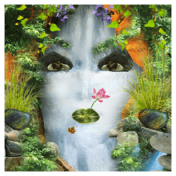 Nature Face Live wallpaper आइकन