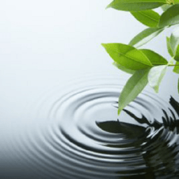 পবিত্রতা أيقونة