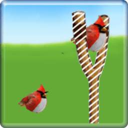 screen lock birds 1.1