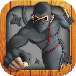 Ape Ninja أيقونة