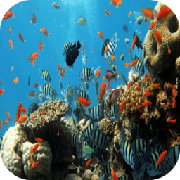 Underwater 3D Live Wallpaper icon