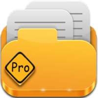 File Manager (Explorer) Pro