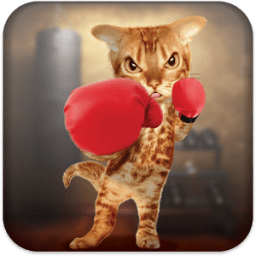 Boxing Cat icon