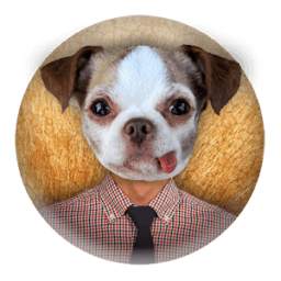 Animal Face Photo Editor 1.0