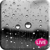 Glass Raindrops Live Wallpaper on 9Apps
