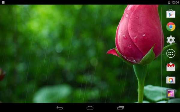 Rain Rose Live Wallpaper screenshot 6