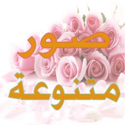 صور منوعة متجددة يومية 1.4