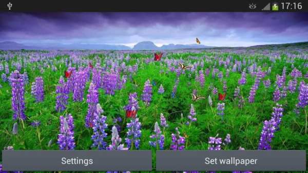 Sea Of Flowers screenshot 3