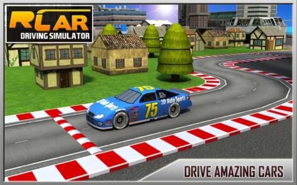RC Car Driving Simulator 12 تصوير الشاشة
