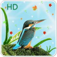 Cute Birds Live Wallpaper on 9Apps