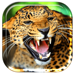 Tiger Lion Cheetah LWP أيقونة