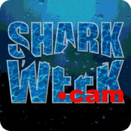 Shark Week icon