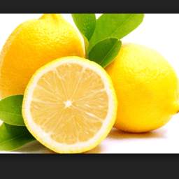 Fun Limon browser 0.1