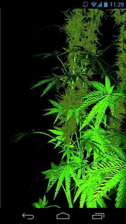 Weed 3D Live Wallpaper screenshot 1