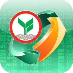 K-Cyber Trade أيقونة