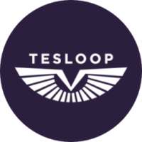 Tesloop on 9Apps