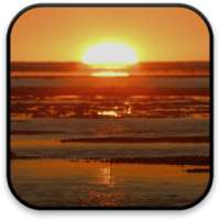 Sunset Live Wallpaper on 9Apps