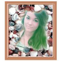 Shell Photo Frames on 9Apps
