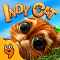 Indy Cat 3 icon