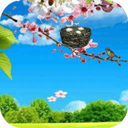 Spring Grassland 1.0.0