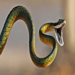 Dangerous snake Live Wallpaper आइकन