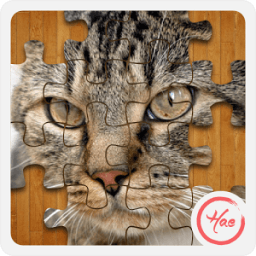 Jigsaw Pet Cat иконка