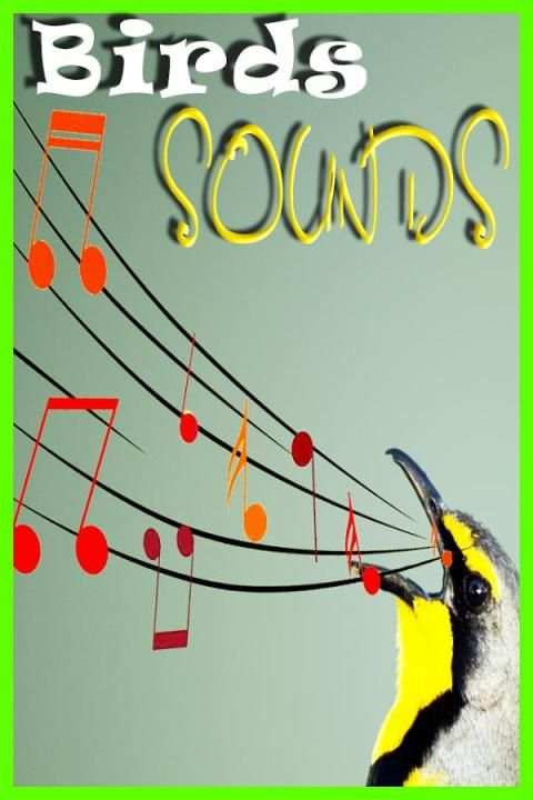 Birds Sounds Ringtones screenshot 4