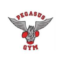 Pegasus gym on 9Apps