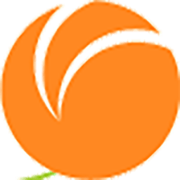 Orange icon
