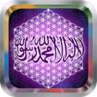 New Al Qur an on 9Apps