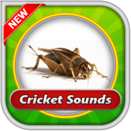 Cricket Sounds иконка