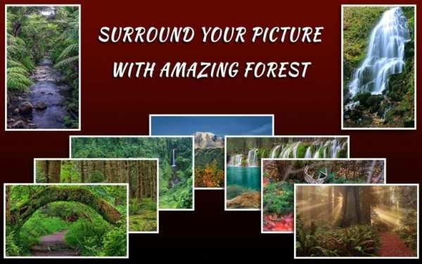 Forest Frames for Photos screenshot 3