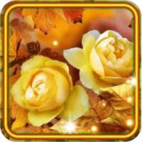 Roses Autumn live wallpaper on 9Apps
