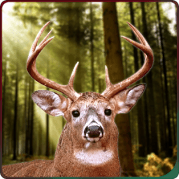 Deer Hunting 2016 icon