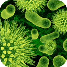 ikon Biology.Bacteria.Wallpaper