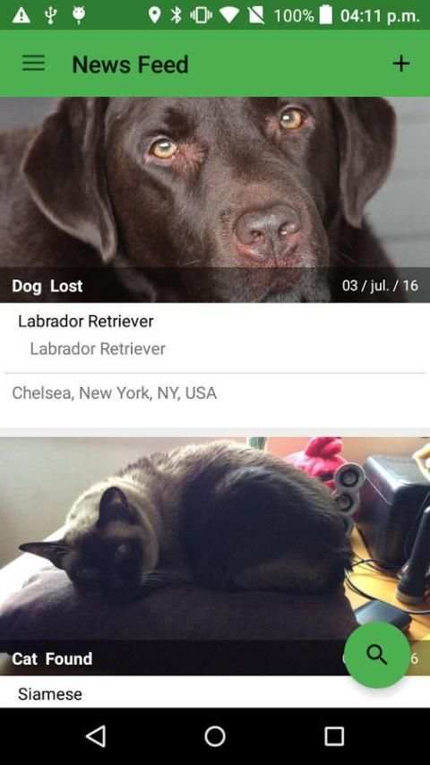 I lost my Pet screenshot 3