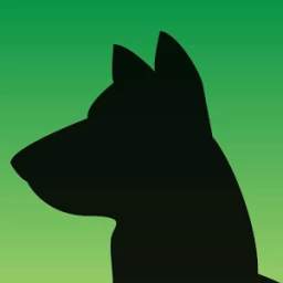 I lost my Pet 1.2